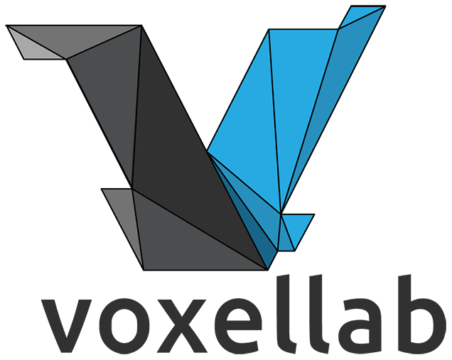 Kings 3D Printing - Voxellab